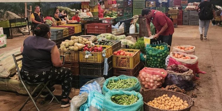 En jaque el sector agrícola de Ibagué por plan tortuga de por parte del gremio de transportadores públicos