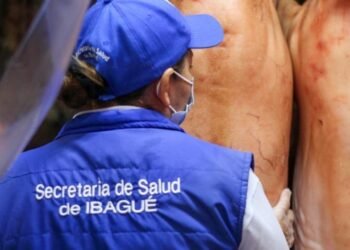 Nueva incautación de carne dudosa procedencia en la Plaza de La 21