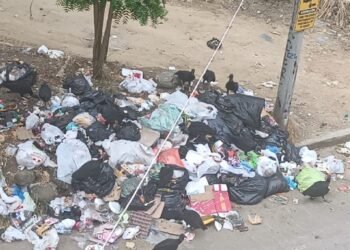 En un basurero se convirtió praderas de Santa Rita