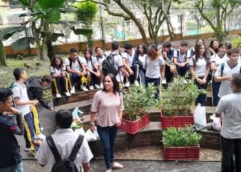 Como en la vieja guardia, los colegios implementan huertas escolares