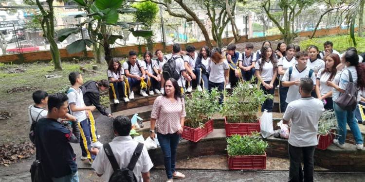 Como en la vieja guardia, los colegios implementan huertas escolares