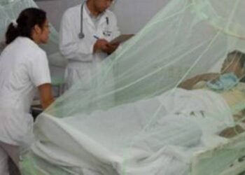 Declarada emergencia en salud pública por Dengue Hemorrágico en Ibagué 