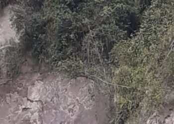 Deslizamiento en la vereda Coello amenaza a ocho familias del sector