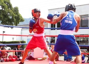El Panamericano de Boxeo contará con deportistas tolimenses