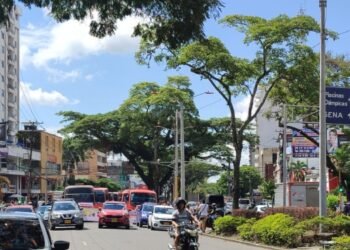 Movilidad en la ciudad de Ibagué nuevamente en caos por paro de transportadores de buseta