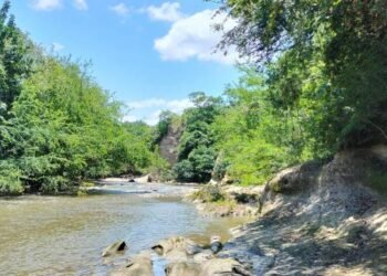 Cortolima continua reglamentando el uso del agua en el río Venadillo