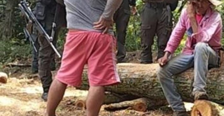 Incautan madera de contrabando en Lérida