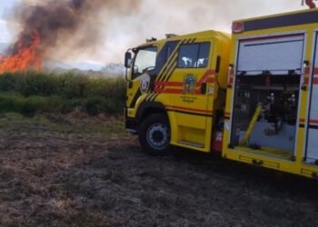 Ibagué se declara en Alerta Amarilla por incendios forestales y altas temperaturas