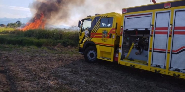 Ibagué se declara en Alerta Amarilla por incendios forestales y altas temperaturas