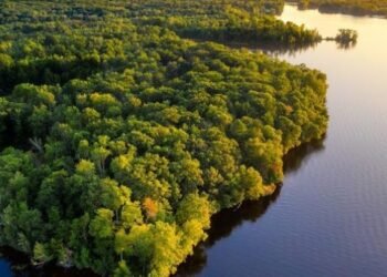 Colombia, Brasil y Seis Países Más Firman Acuerdo Histórico para Salvaguardar la Amazonia