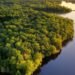 Colombia, Brasil y Seis Países Más Firman Acuerdo Histórico para Salvaguardar la Amazonia