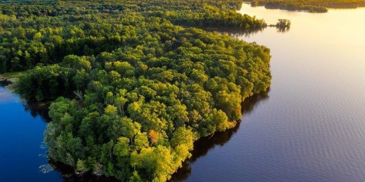 Colombia, Brasil y Seis Países Más Firman Acuerdo Histórico para Salvaguardar la Amazonia