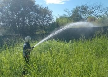 Este es el balance de los casos atendidos por el Cuerpo Oficial de bomberos de Ibagué