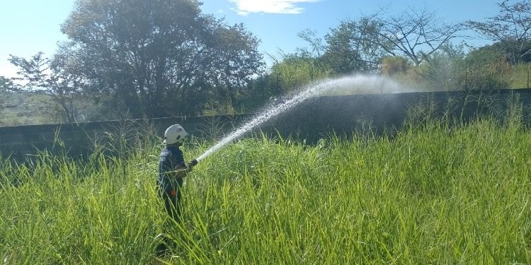 Este es el balance de los casos atendidos por el Cuerpo Oficial de bomberos de Ibagué