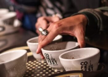 Hoy comienza Expo Tolima, el Encuentro Imperdible para los Amantes del Café: ¡Sabor y Aroma en su Máxima Expresión!