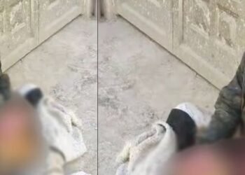 Aberrante: Habitante de calle se come un perro muerto ante la mirada de varios ciudadanos