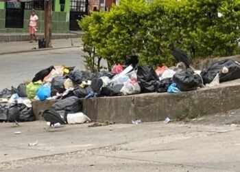 La comunidad de los barrios Los Ciruelos y Los Ángeles de Ibagué están inundados de basuras