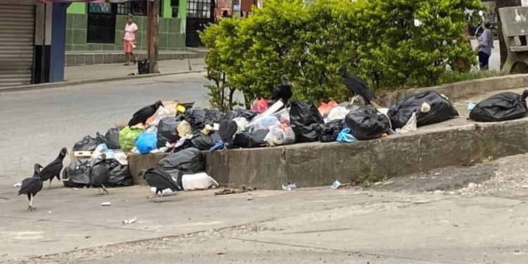 La comunidad de los barrios Los Ciruelos y Los Ángeles de Ibagué están inundados de basuras