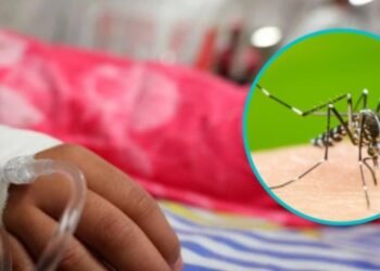 El dengue no para en la ciudad de Ibagué 36 personas se encuentran en camas UCI