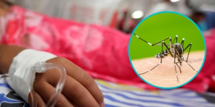 El dengue no para en la ciudad de Ibagué 36 personas se encuentran en camas UCI