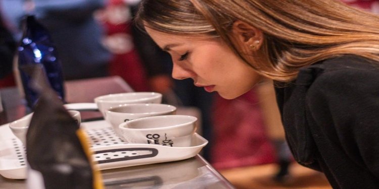 Aroma a Café en el Aire: ‘Expo Tolima, Corazón Cafetero de Colombia’ la próxima feria del departamento