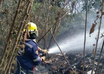 Continúan las emergencias por incendios en la ciudad de Ibagué 