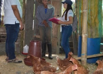 Revisión y capacitación técnica a los beneficiarios de las gallinas ponedoras de Dantas y Laureles