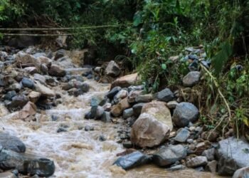 Pese a las lluvias, el IBAL mantiene la captación en el Combeima