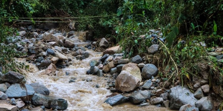 Pese a las lluvias, el IBAL mantiene la captación en el Combeima