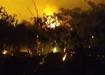 El Tolima en alerta roja por incendios forestales