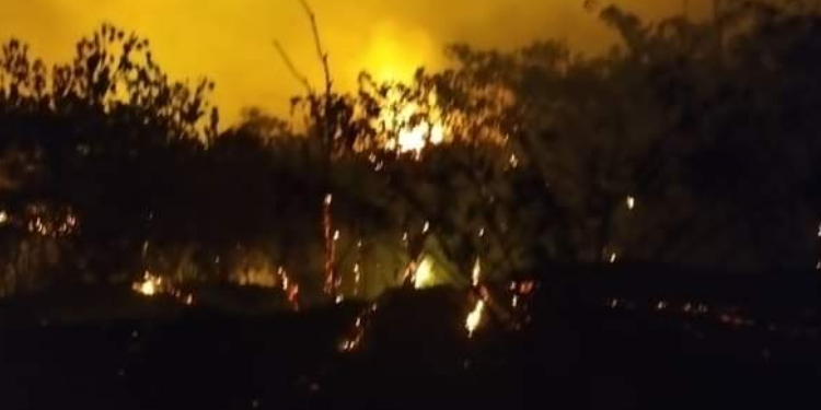 El Tolima en alerta roja por incendios forestales