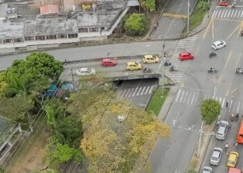 Comienza en firme la segunda etapa de la construcción del puente de la 60