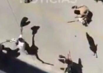 Enfrentamiento entre pandillas en La Gaviota terminó con un muerto, un herido y policías lesionados