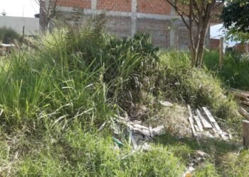Lotes abandonados en el barrio Limonar se están convirtiendo en foco de inseguridad