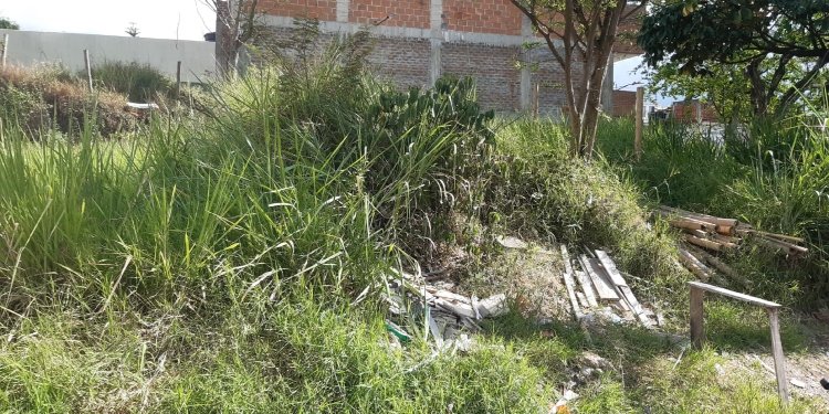 Lotes abandonados en el barrio Limonar se están convirtiendo en foco de inseguridad