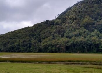 Se aprobó el protocolo de respuesta del Volcán Cerro Machín