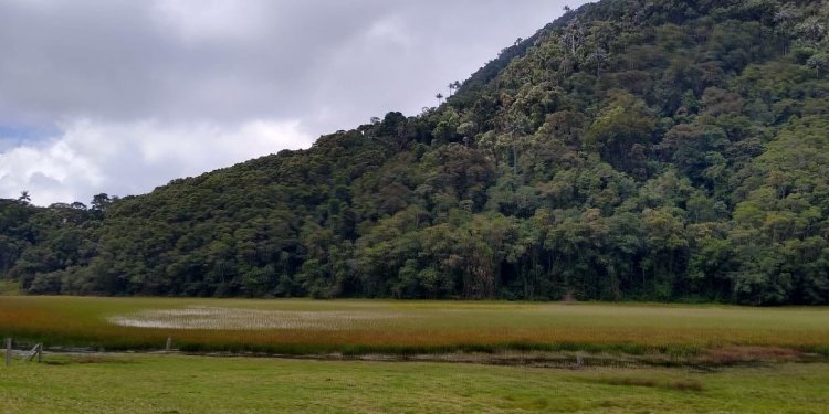 Se aprobó el protocolo de respuesta del Volcán Cerro Machín