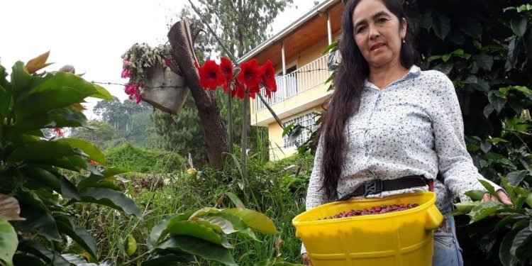 Mujeres Protagonistas en Expo Tolima, Corazón Cafetero de Colombia: Celebrando la Excelencia y el Empoderamiento