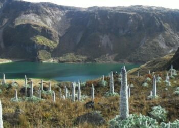 Luego de cinco meses de cierre, dieron apertura al Parque Nacional Natural de Los Nevados