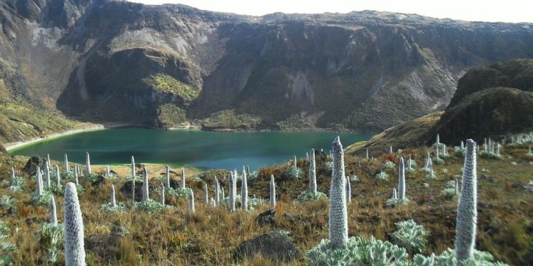 Luego de cinco meses de cierre, dieron apertura al Parque Nacional Natural de Los Nevados
