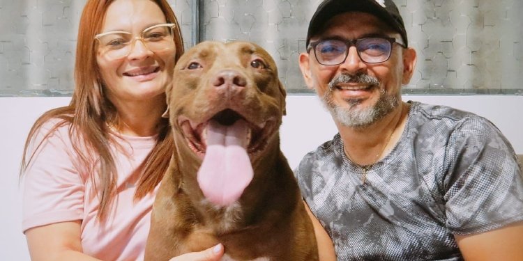 ‘Chocolate’: Una Conmovedora Historia de Transformación en el CAPA