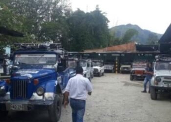 En Planadas no hay servicio de líneas hacia la zona rural por razones de seguridad