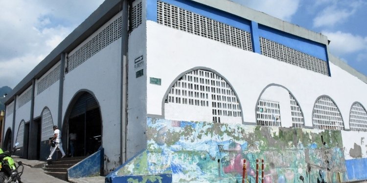 Campesinos de la zona rural de Ibagué están sufriendo grandes pérdidas por el paro de transportadores