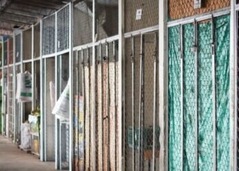 Gremio de transportadores firmaron acuerdo con líderes de las plazas de mercado de Ibagué 