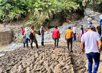 Habitantes de veredas incomunicadas de Rioblanco claman solidaridad para con ellos