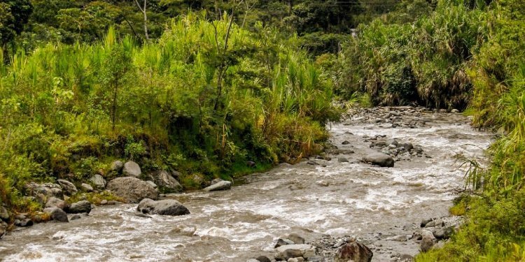 ¡Ahorre agua! El fenómeno del Niño podría causar la disminución del caudal del Río Combeima