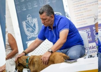 Más de 700 animales atendidos en el Hospital Veterinario de la UT