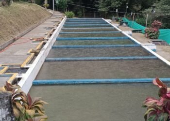 Por alta turbiedad en la quebrada Chembe fue cerrada la captación en la planta