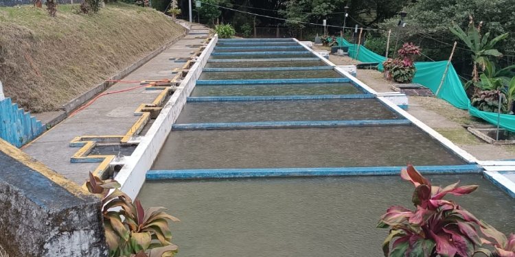 Por alta turbiedad en la quebrada Chembe fue cerrada la captación en la planta