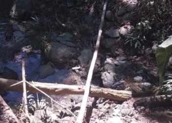 Cortolima intervino una mina ilegal en Falan 